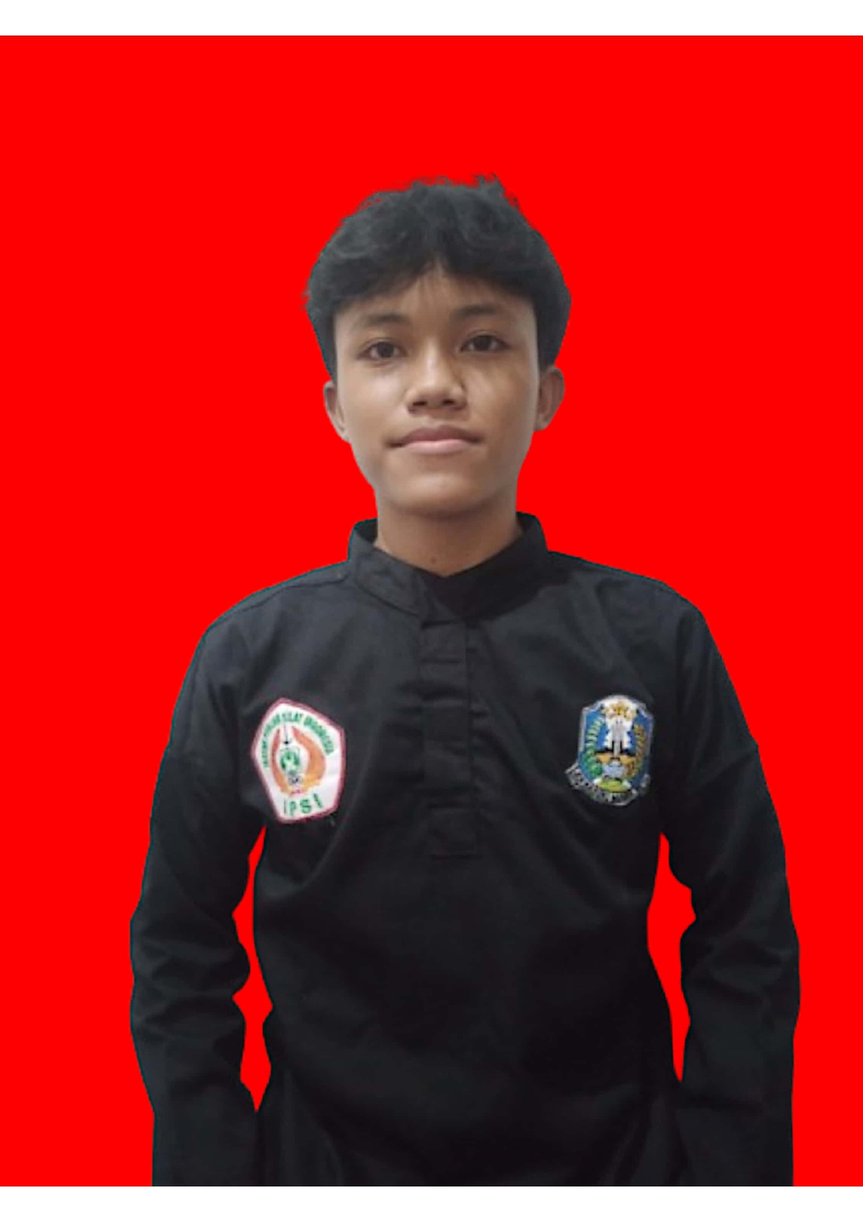 Foto HASAN SALEHAMIDZIC